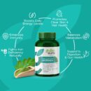 Moringa