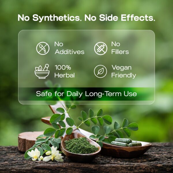 Moringa - Image 4