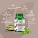 ashwagandha-3