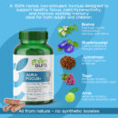aura-focus-2