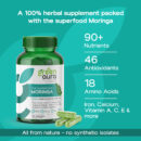 moringa-3