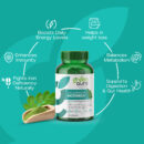 moringa-4