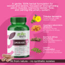 uroease-2