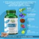 Aura Focus+