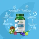 Aura Focus+