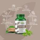 Ashwagandha + Holy Basil